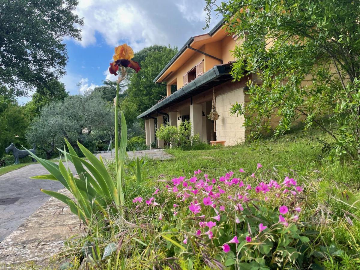 Botanea Guest House Fonte Nuova Luaran gambar